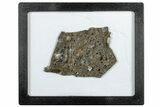 Aqueous Altered Lunar Meteorite ( g) - Oued el Hamim #304380-1